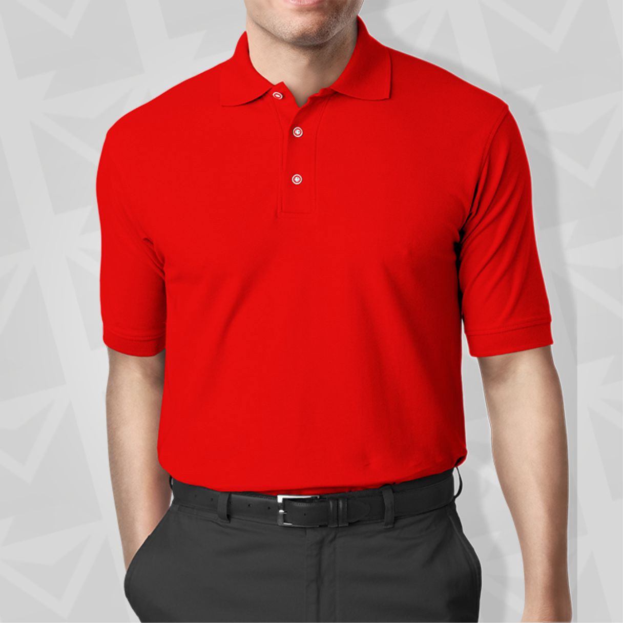 PT-569 Polo Yaka Tişört - Görsel 2