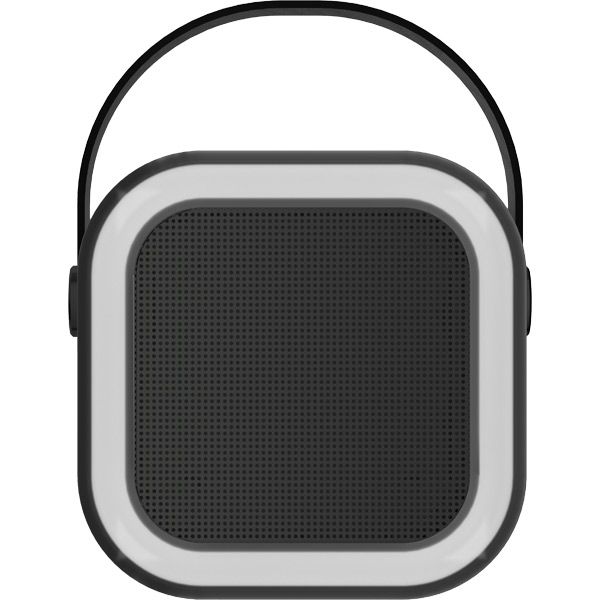 PT-407 Speaker-Hoparlör - Görsel 3